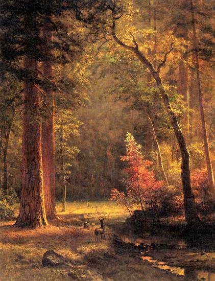 Albert Bierstadt Dogwood by Albert Bierstadt china oil painting image